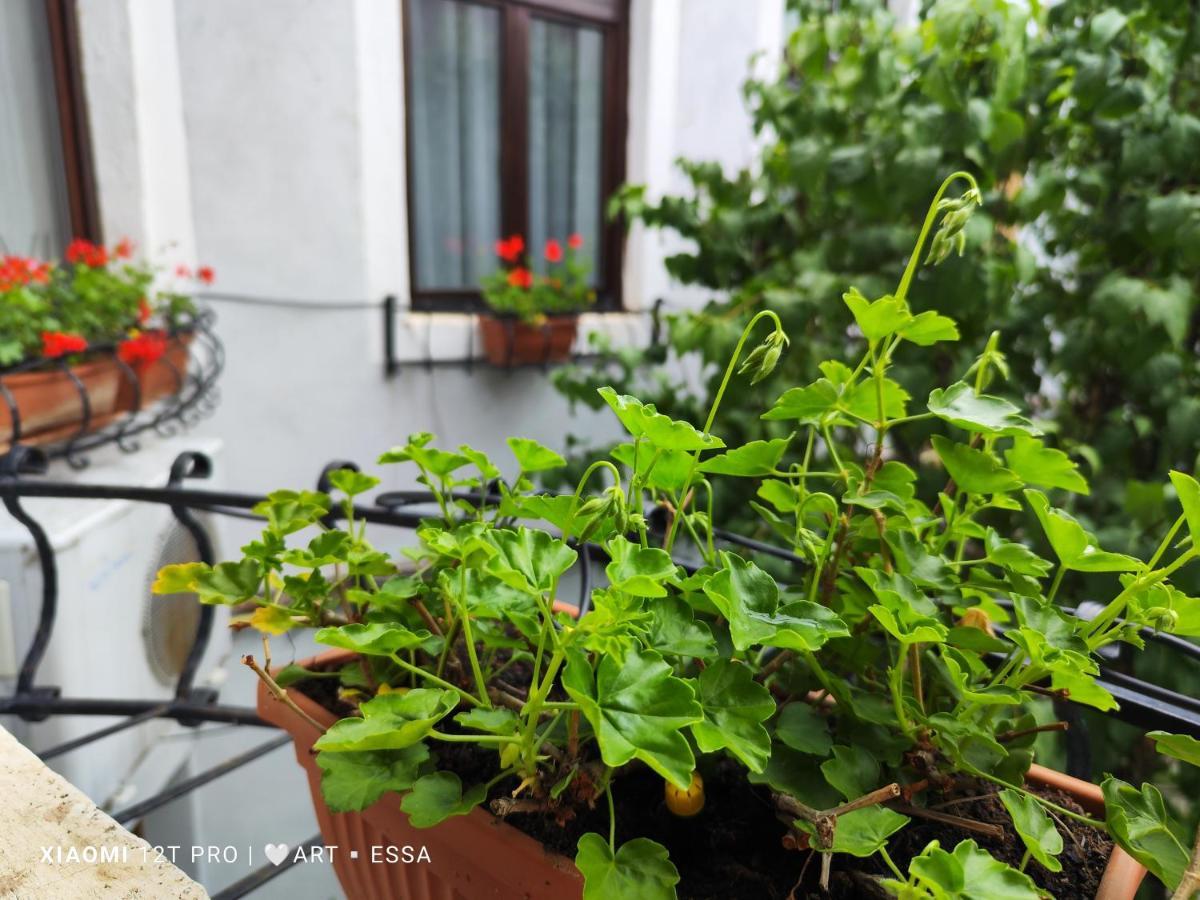 Apartament Buon Gusto,Near Main Square And Liar Bridge,Historical Side Of City Center Sibiu Exterior photo